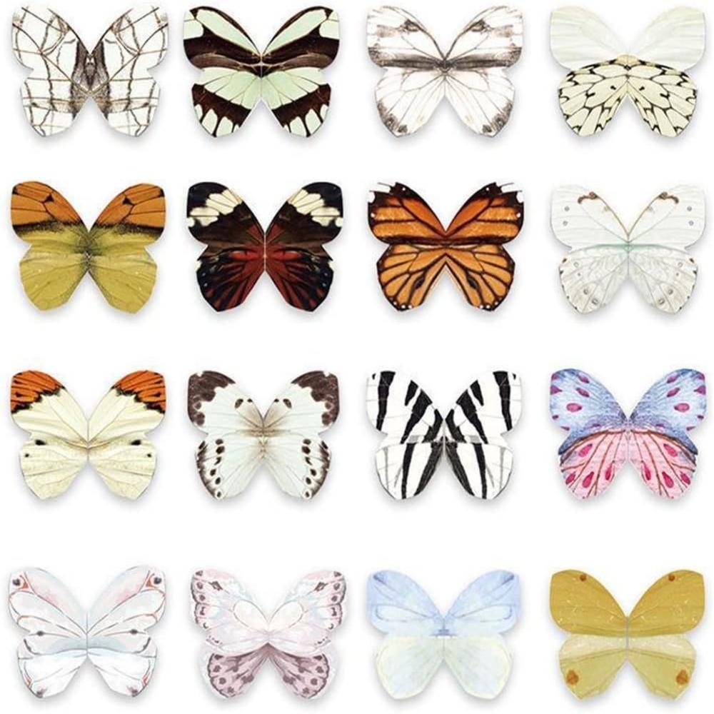 4pcs/Set Cartoon Animals Cat C - Paperclip Magnetic Set 评论和价格